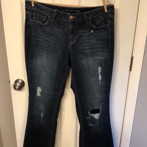 Lane Bryant low rise boot